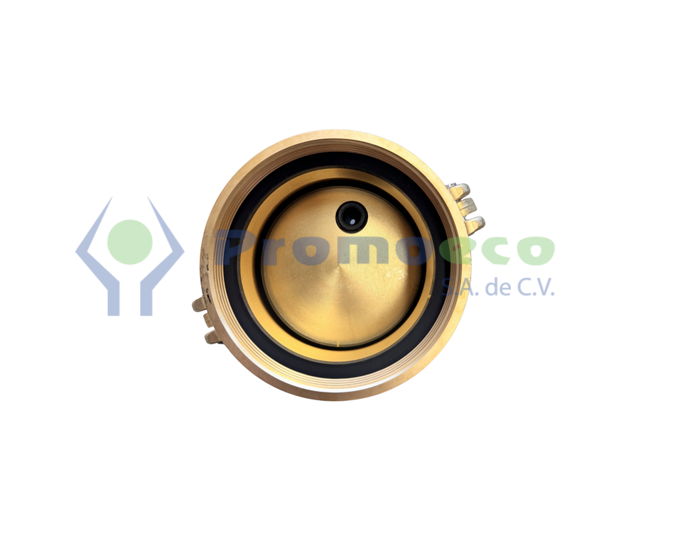 Kit de Tapa y Anillo para Sonda de 4" Veeder-Root