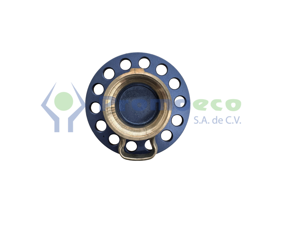 Tapón para Purga de 2