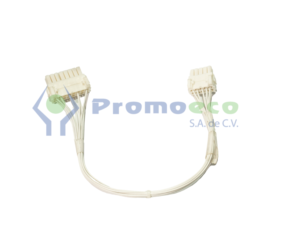 Cable AY, iGEM ISB/Comp, NOZ